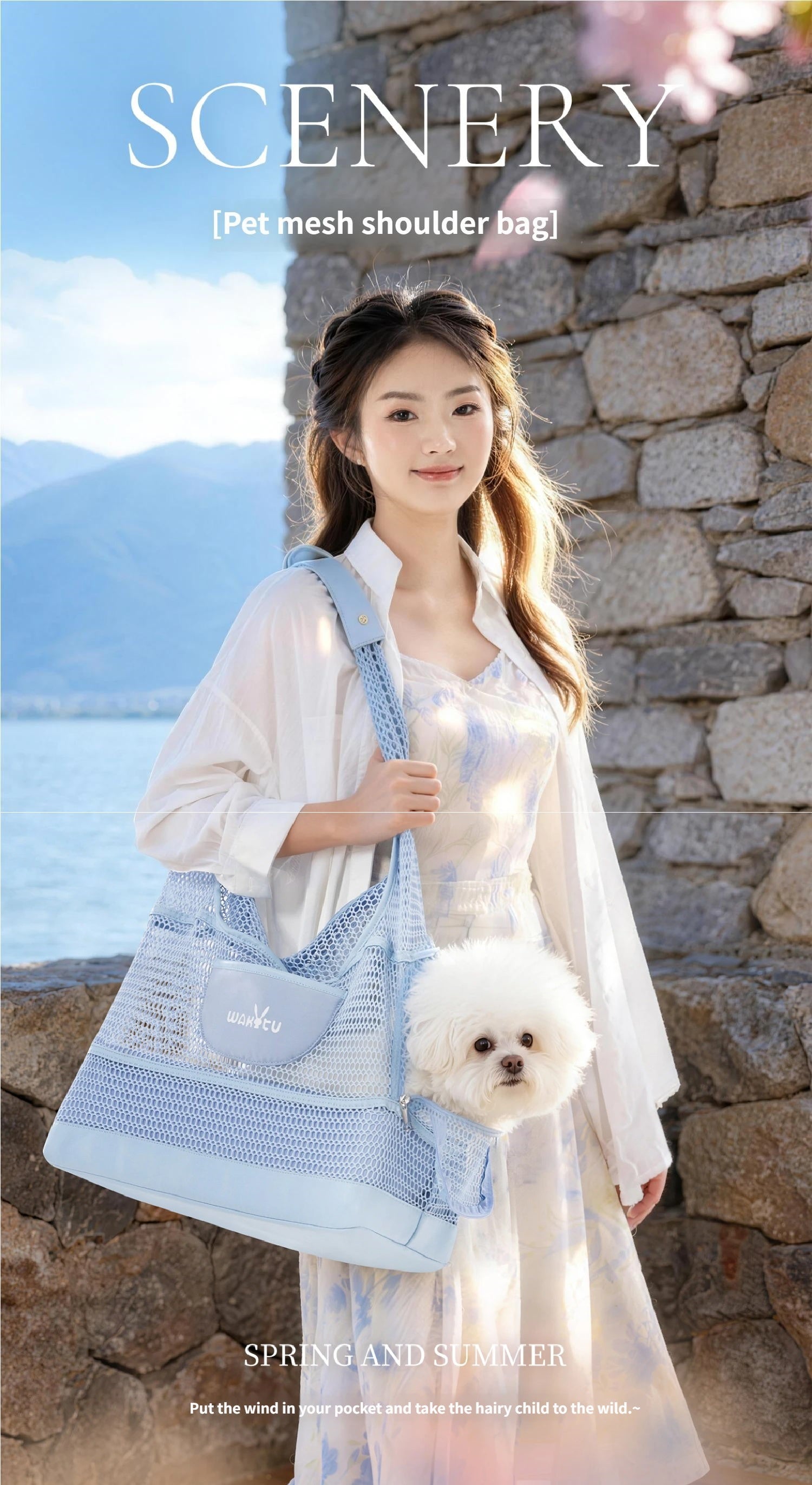 Breathable Mesh Pet Bag for Summer