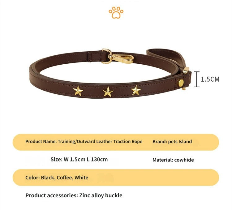 Genuine Leather Dog Leash with Gold Star Studs Luxury Soft Leather Puppy Walking Lead Pet Leash for Small Medium large Dogs