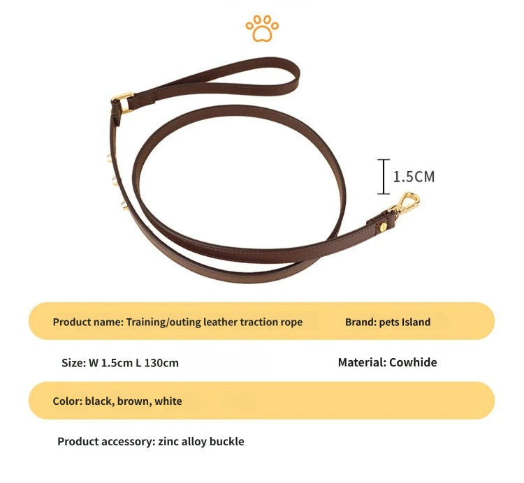 Genuine Leather Dog Leash Thin Stylish Pet Walking Leash with Gold Round Studs Adjustable Soft Leather Puppy Lead