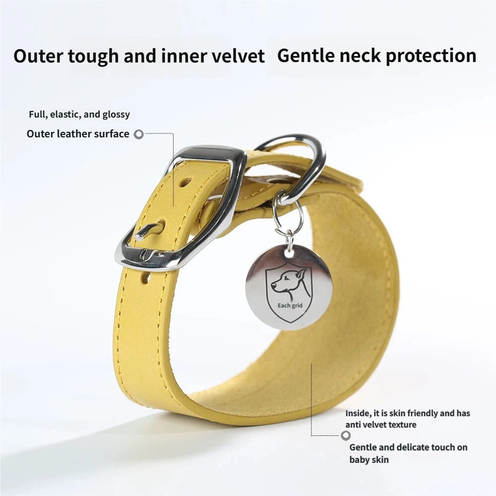 genuine leather Tapered dog collar Extra Wide Pet dog collar for long neck Greyhound Saluki Deerhound Lurcher Whippet Dachshund