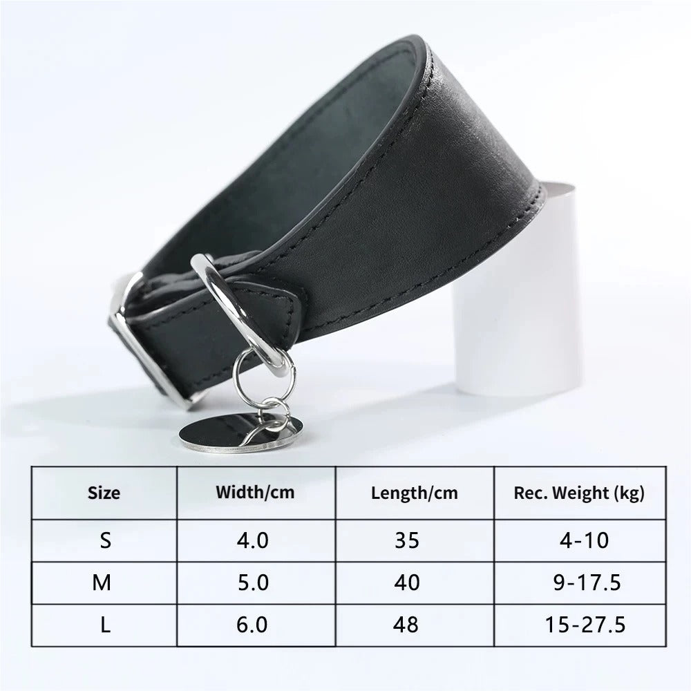 genuine leather Tapered dog collar Extra Wide Pet dog collar for long neck Greyhound Saluki Deerhound Lurcher Whippet Dachshund