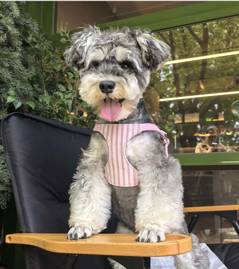 Cute cotton Striped Dog Harness and Leash Set Soft Breathable Pet Walking Vest Harness with leash No Pull Puppy Chest harness
