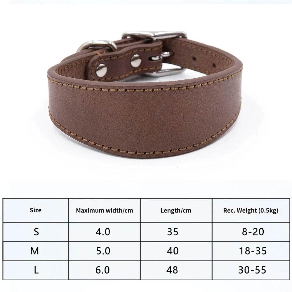 genuine leather Tapered dog collar Extra Wide Pet dog collar for long neck Greyhound Saluki Deerhound Lurcher Whippet Dachshund