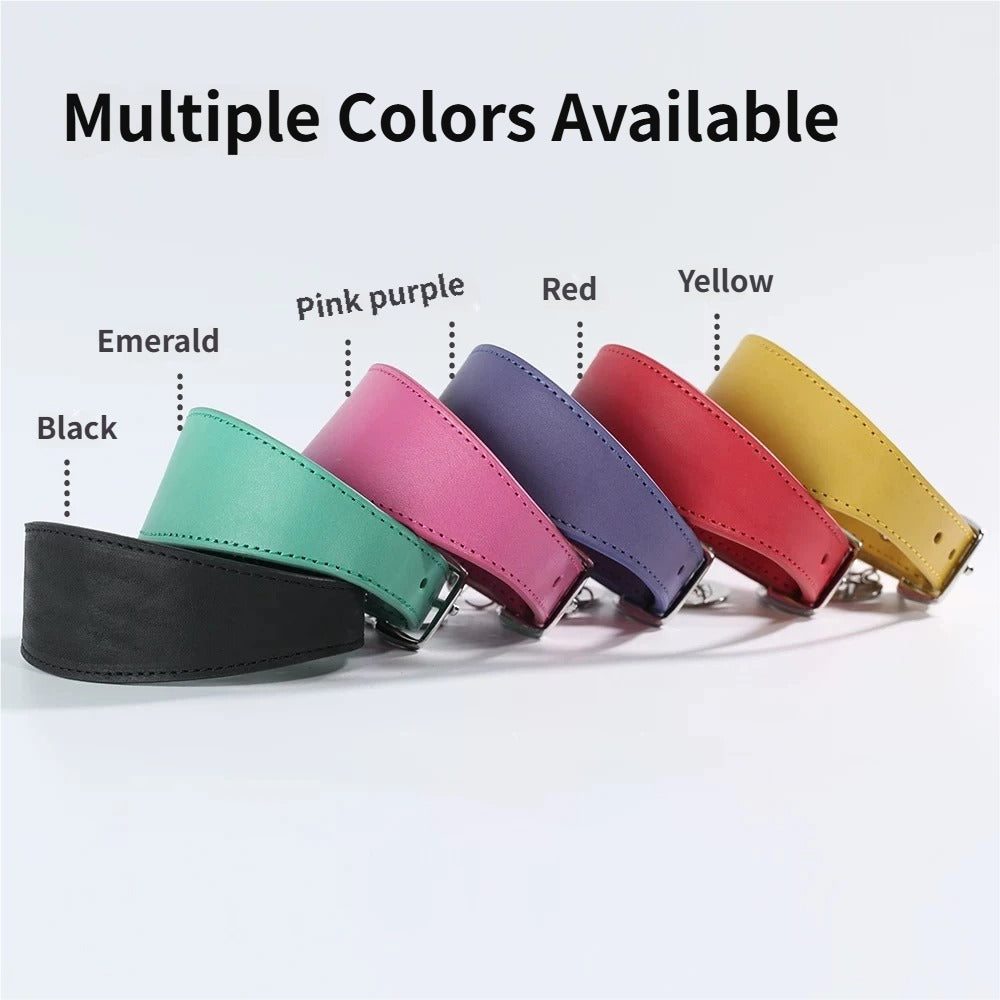 genuine leather Tapered dog collar Extra Wide Pet dog collar for long neck Greyhound Saluki Deerhound Lurcher Whippet Dachshund