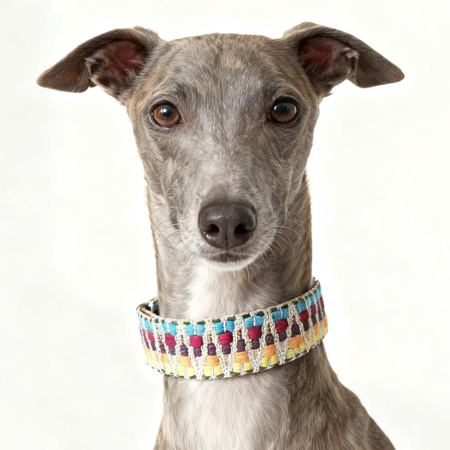 Bohemian Hand Woven Dog Collar 3.8CM Wide Genuine Leather dog collar Soft Cotton Webbing Heavy Duty Pet Walking Leash For Small Medium Large Dogs