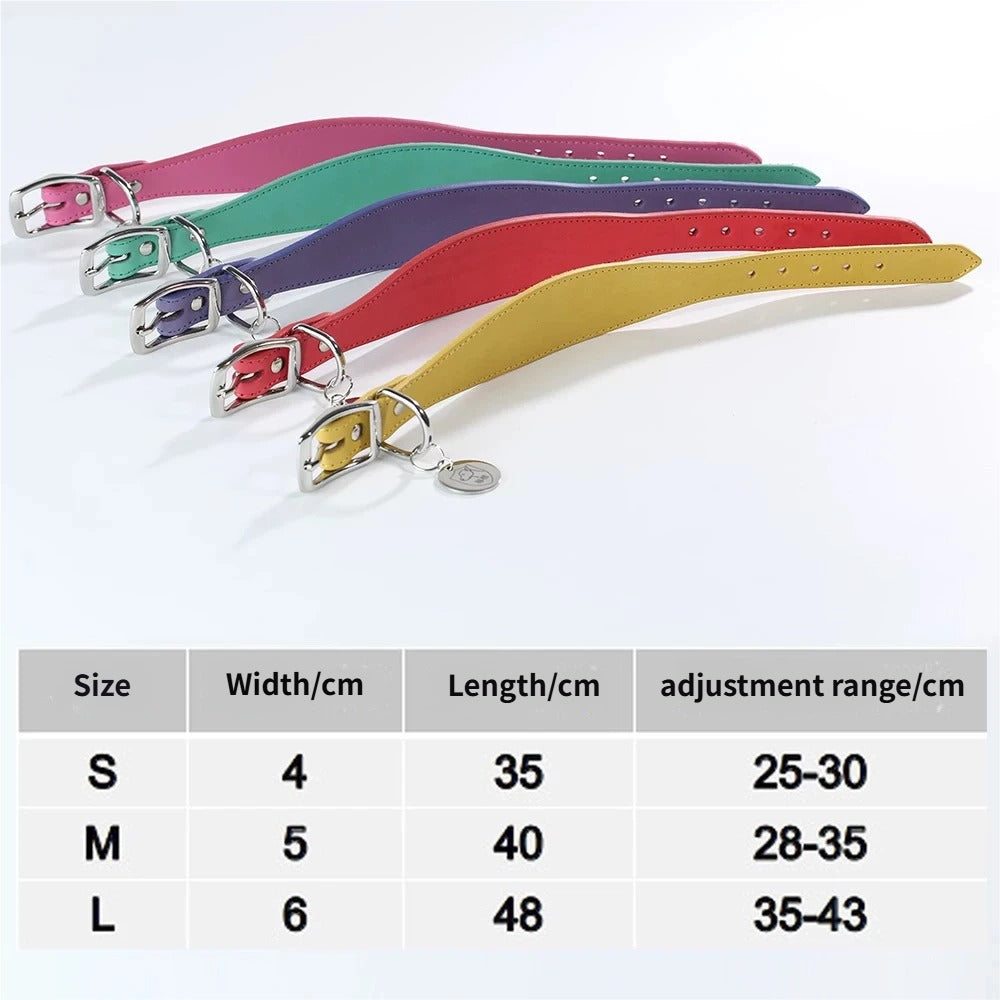 genuine leather Tapered dog collar Extra Wide Pet dog collar for long neck Greyhound Saluki Deerhound Lurcher Whippet Dachshund