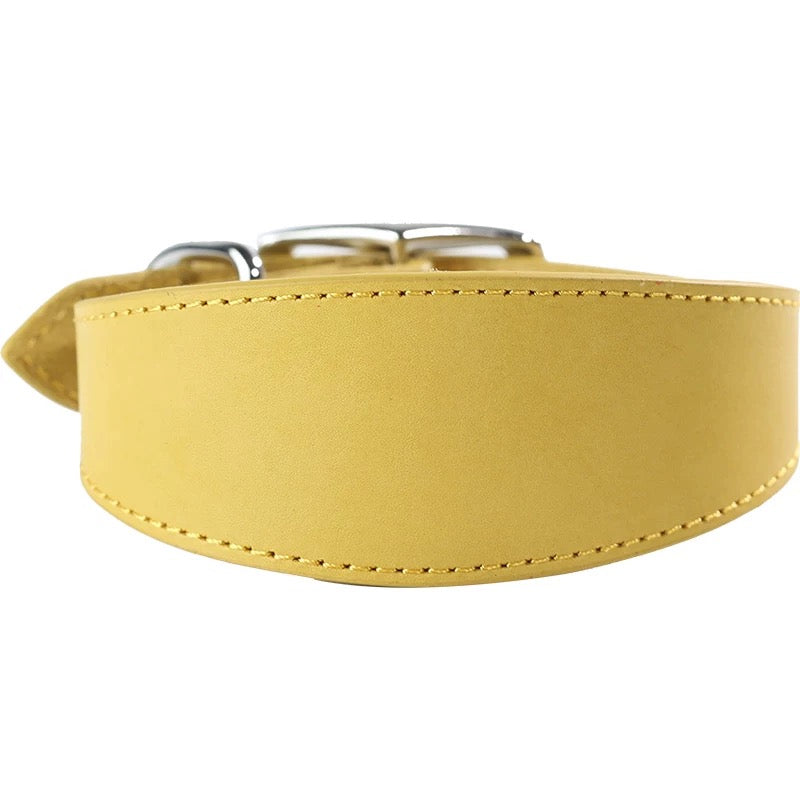 genuine leather Tapered dog collar Extra Wide Pet dog collar for long neck Greyhound Saluki Deerhound Lurcher Whippet Dachshund