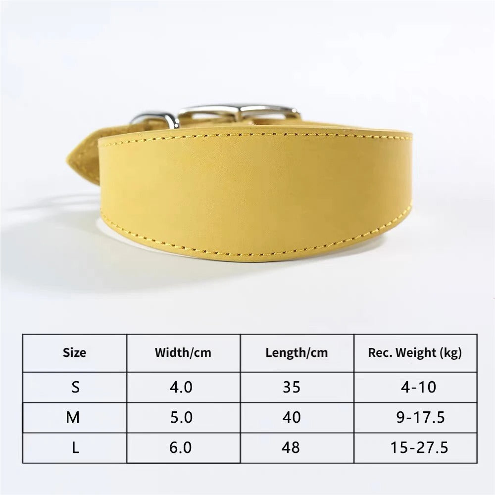 genuine leather Tapered dog collar Extra Wide Pet dog collar for long neck Greyhound Saluki Deerhound Lurcher Whippet Dachshund