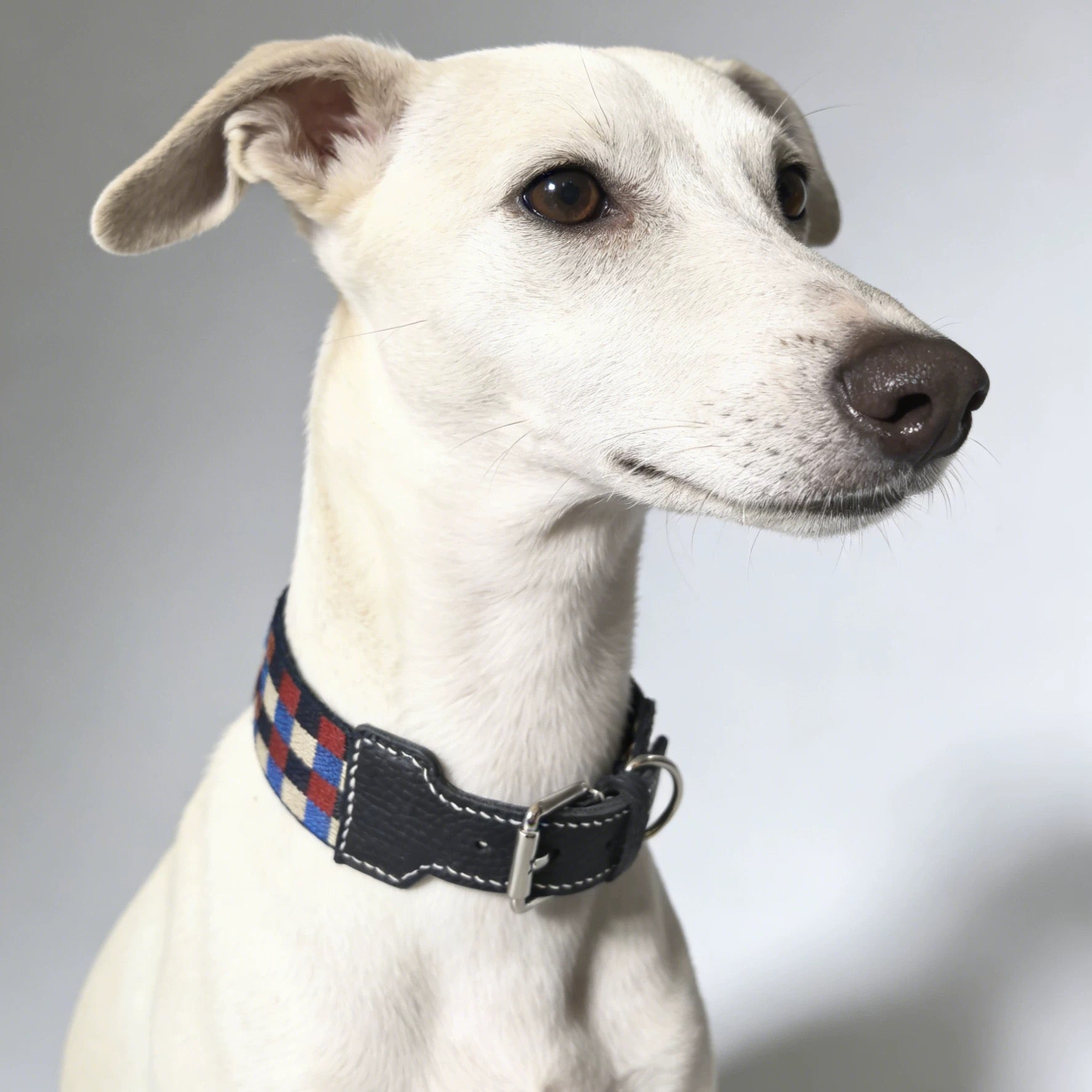 3.8cm Wide Genuine Leather Dog Collar Woven webbing Checkered Pet leash Boho style Adjustable Grid Dog Collar and leash