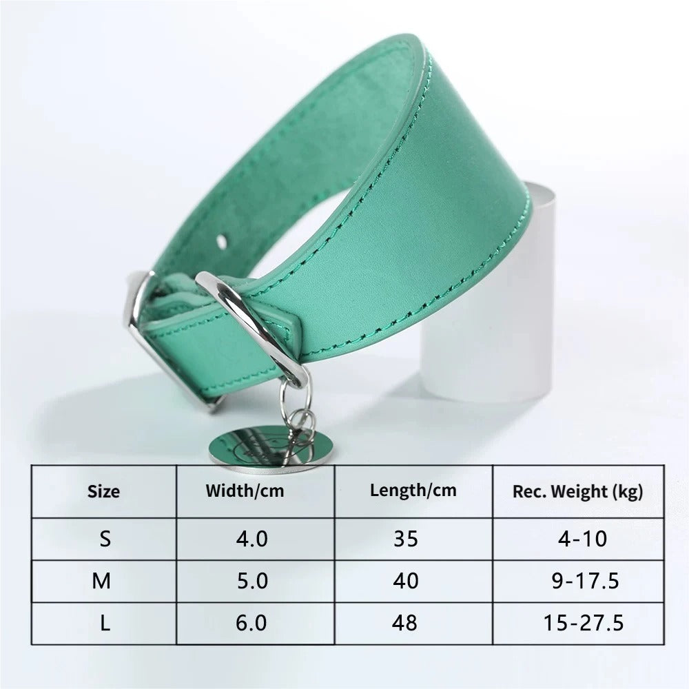 genuine leather Tapered dog collar Extra Wide Pet dog collar for long neck Greyhound Saluki Deerhound Lurcher Whippet Dachshund