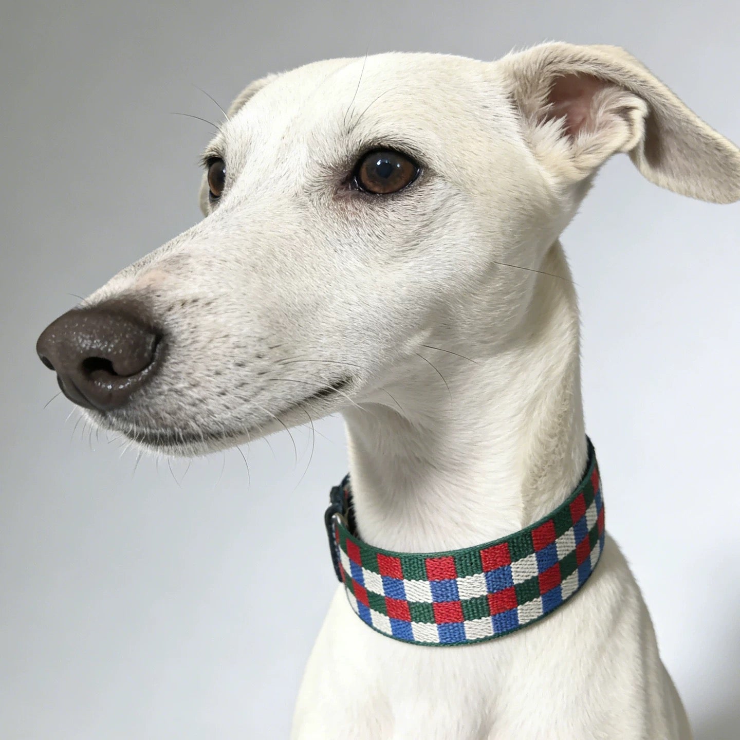 3.8cm Wide Genuine Leather Dog Collar Woven webbing Checkered Pet leash Boho style Adjustable Grid Dog Collar and leash
