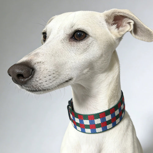 3.8cm Wide Genuine Leather Dog Collar Woven webbing Checkered Pet leash Boho style Adjustable Grid Dog Collar and leash