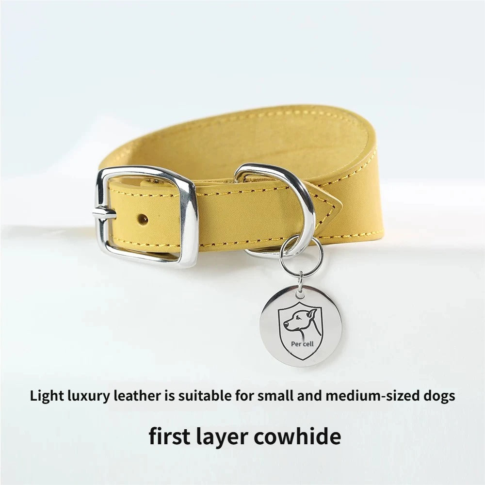 genuine leather Tapered dog collar Extra Wide Pet dog collar for long neck Greyhound Saluki Deerhound Lurcher Whippet Dachshund