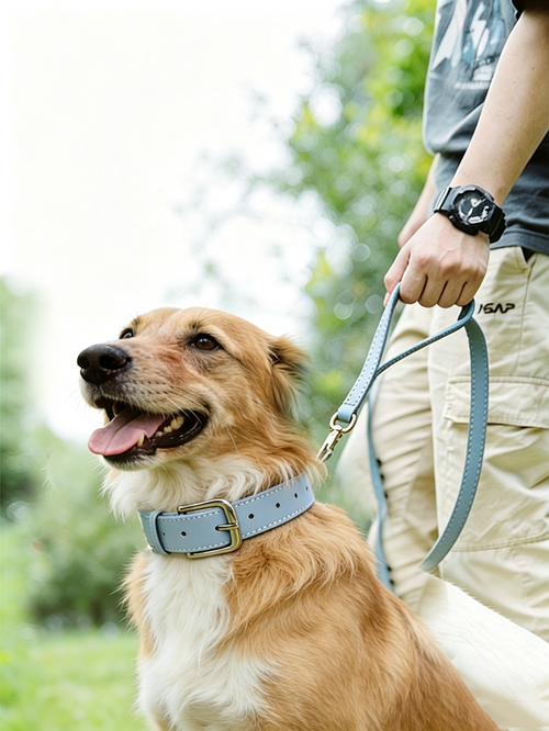 3cm wide Genuine Leather Dog Collar Adjustable Walking Collar for small to Medium Dogs no-pull heavy duty pet collar