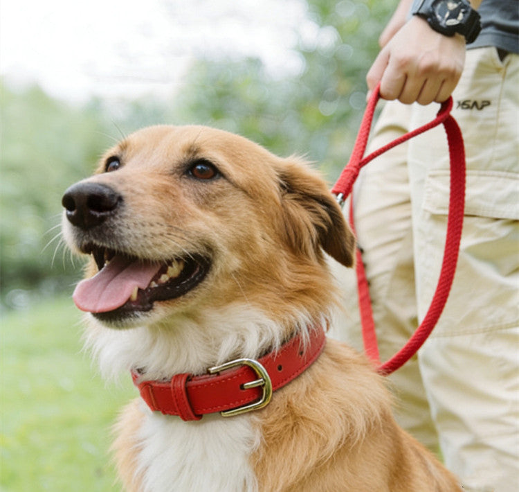Genuine Cowhide Leather Dog Collar Adjustable Walking Collar for small to Medium Dogs no-pull heavy duty pet collar
