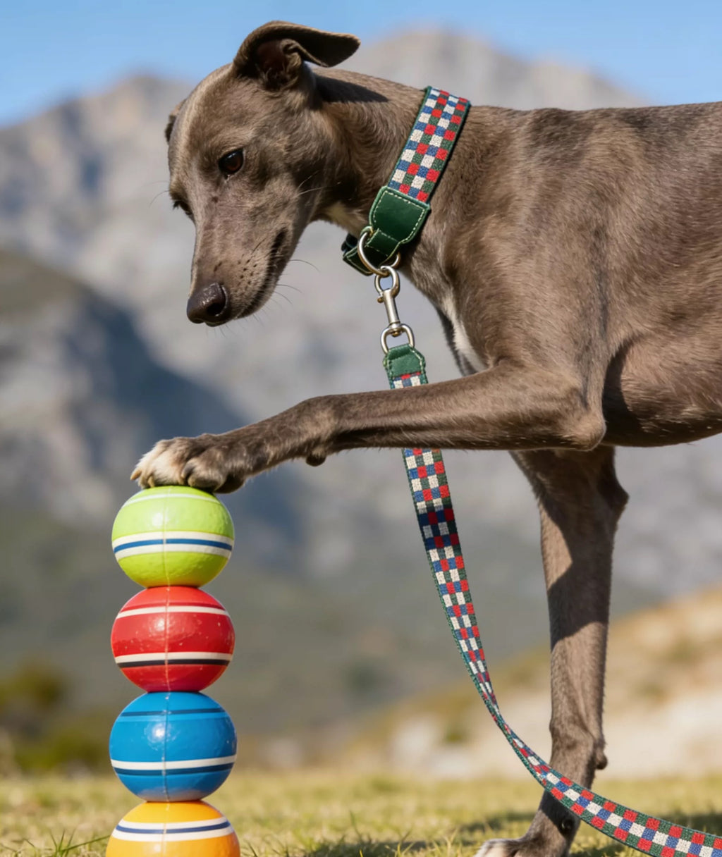 3.8cm Wide Genuine Leather Dog Collar Woven webbing Checkered Pet leash Boho style Adjustable Grid Dog Collar and leash