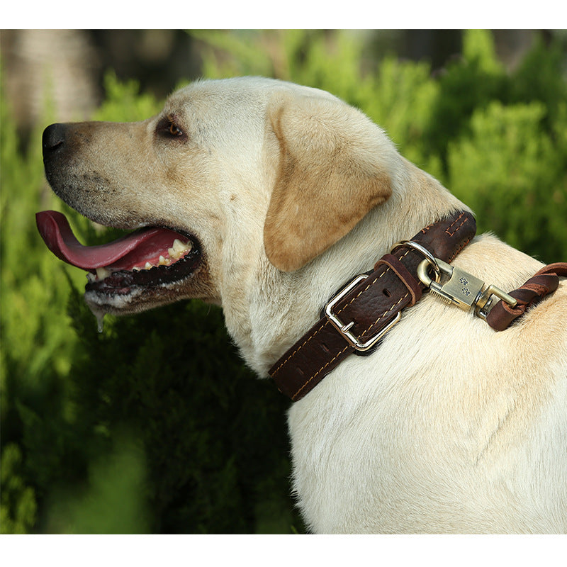 Genuine Full Grain Leather Dog Collar 8‑Strand Braided Heavy Duty Dog Collar for Medium Large Dogs Pet Collar for Daily Walking
