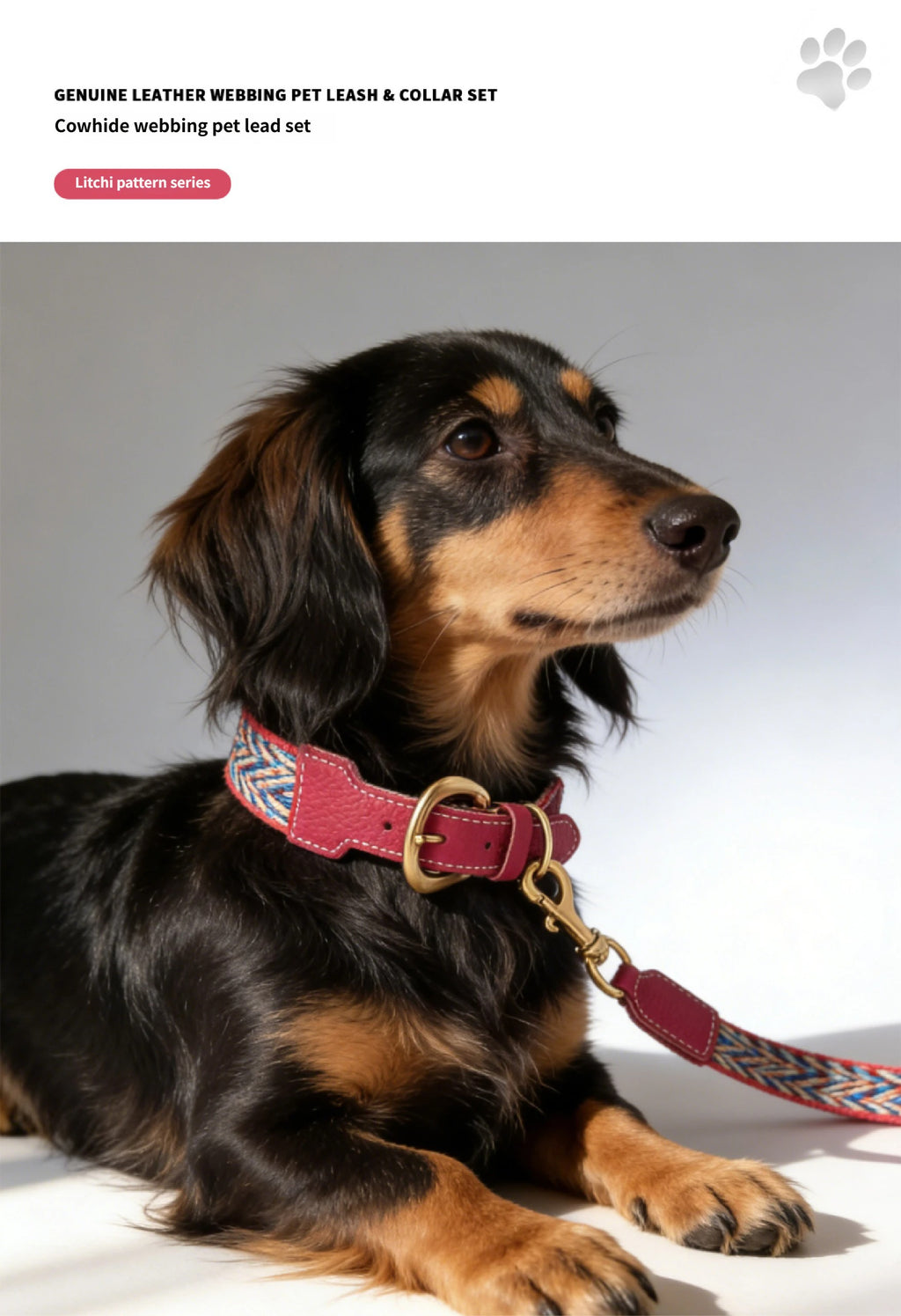 3.8cm Wide Genuine Leather webbing Dog Collar Bohemian Braided Woven Dog Collar and leash Adjustable Soft Leather Pet Collar