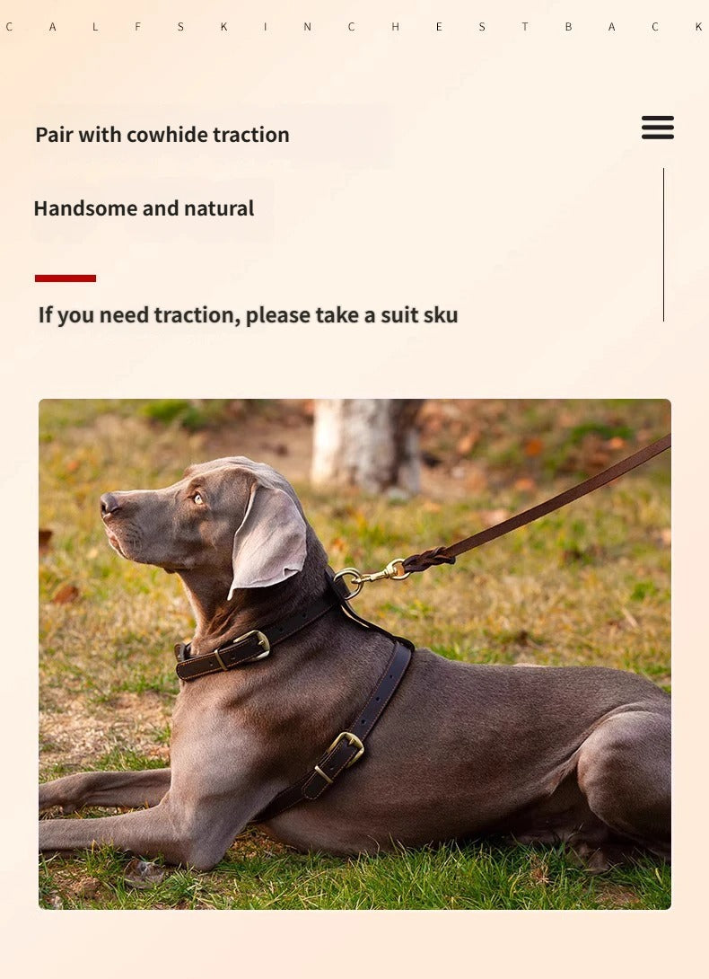 Genuine Leather Dog Harness Adjustable Heavy Duty No Pull Pet Walking Harness Leather Vest Harness for Medium Large Dogs