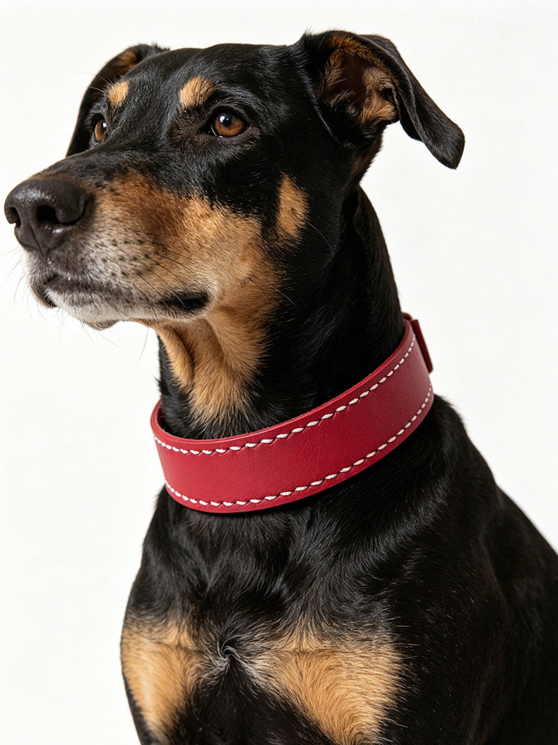 Double Layer Genuine Leather Dog Collar Adjustable Anti-Pull Dog Collar Heavy Duty Leather Pet Collar for Medium Large Dogs