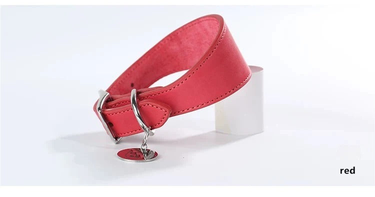 genuine leather Tapered dog collar Extra Wide Pet dog collar for long neck Greyhound Saluki Deerhound Lurcher Whippet Dachshund