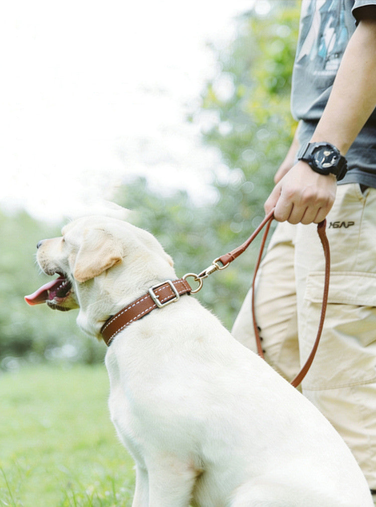 Genuine Leather Dog Leash with Gold Star Studs Luxury Soft Leather Puppy Walking Lead Pet Leash for Small Medium large Dogs