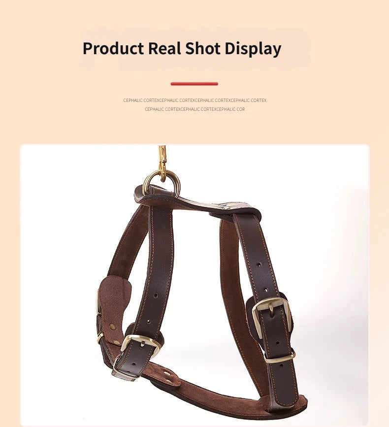 Genuine Leather Dog Harness Adjustable Heavy Duty No Pull Pet Walking Harness Leather Vest Harness for Medium Large Dogs