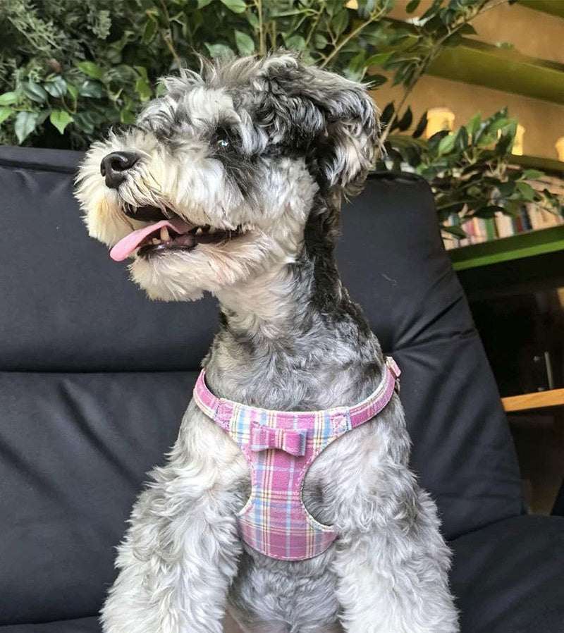 plaid pet harness and leash set with bow detail