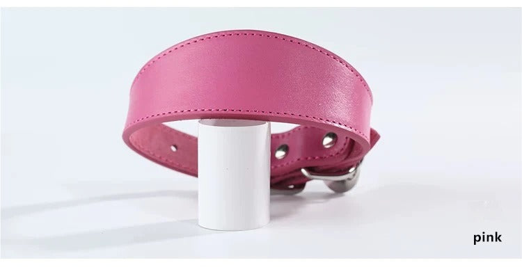 genuine leather Tapered dog collar Extra Wide Pet dog collar for long neck Greyhound Saluki Deerhound Lurcher Whippet Dachshund
