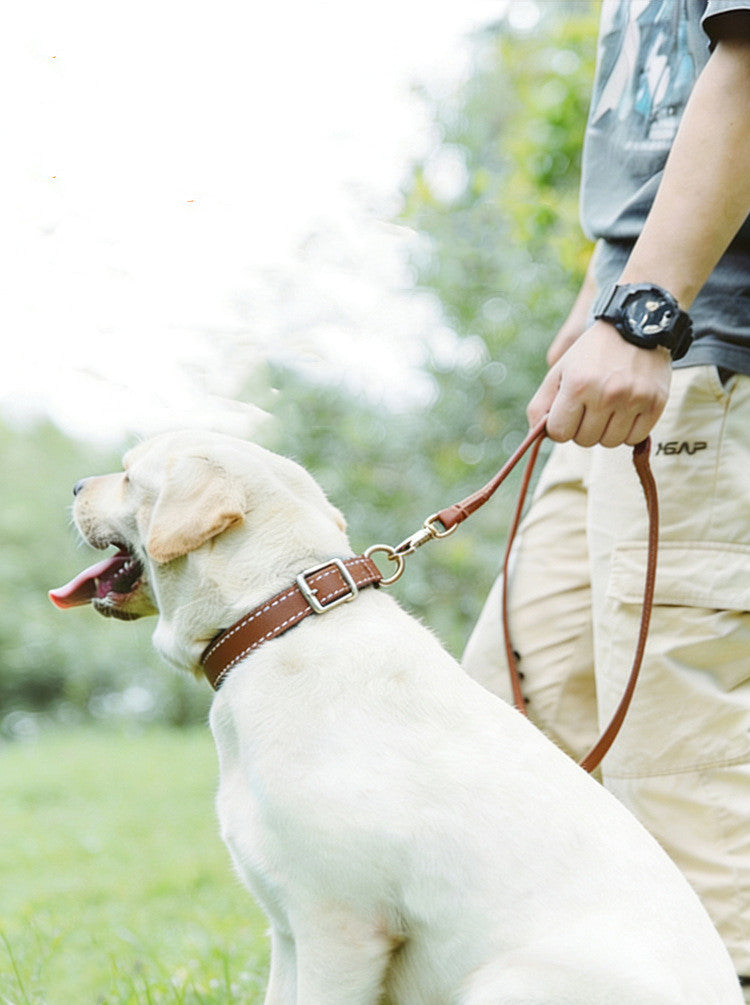 Genuine Leather Dog Leash Thin Stylish Pet Walking Leash with Gold Round Studs Adjustable Soft Leather Puppy Lead