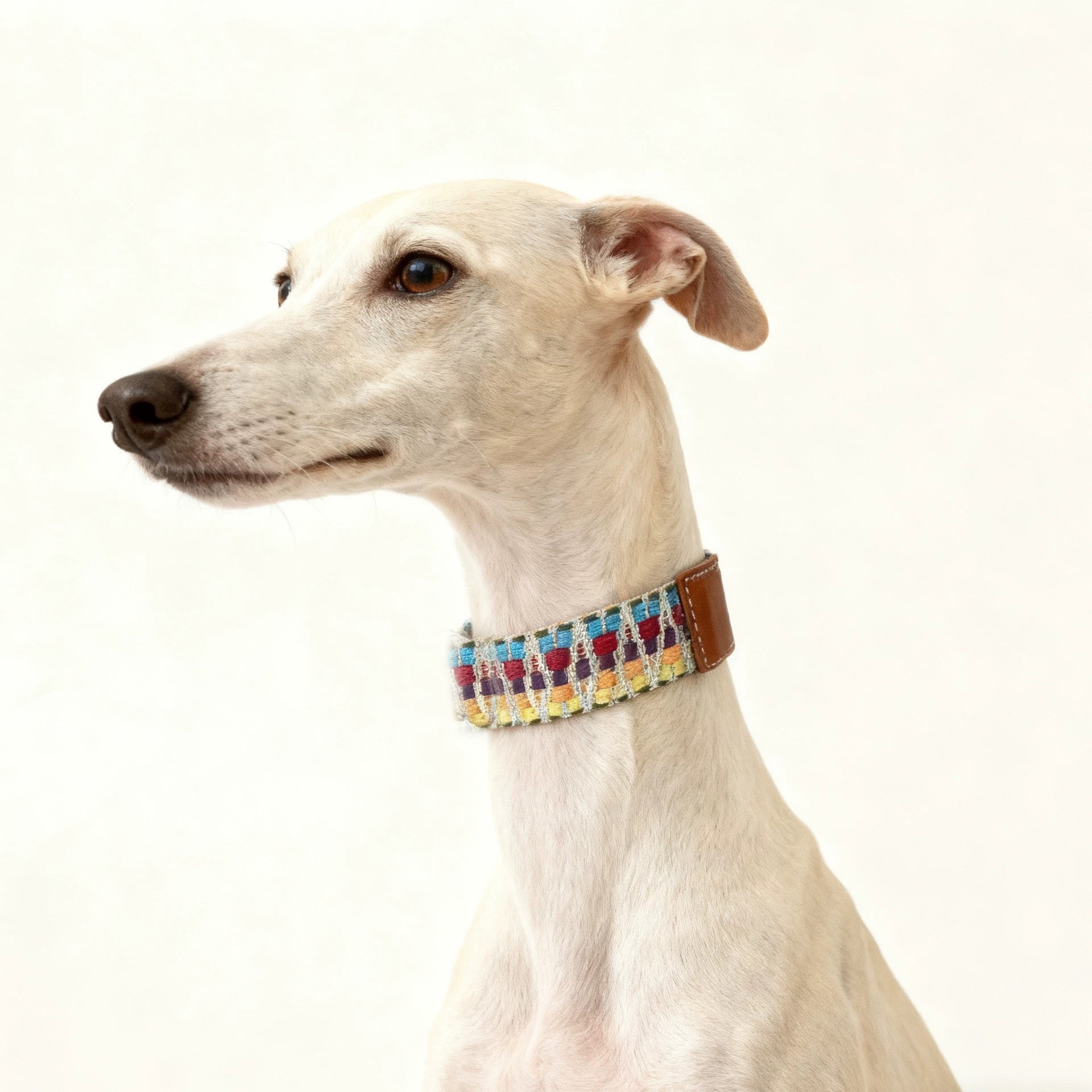 Bohemian Hand Woven Dog Collar 3.8CM Wide Genuine Leather dog collar Soft Cotton Webbing Heavy Duty Pet Walking Leash For Small Medium Large Dogs