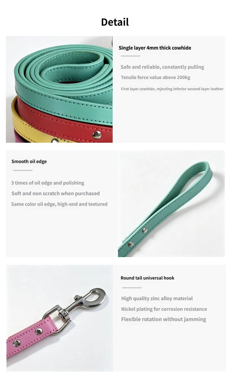 Heavy Duty Thick Leather dog walking leash Wide Genuine Leather Dog Collar Anti-Pull Dog Collar and leash for Greyhound Whippet