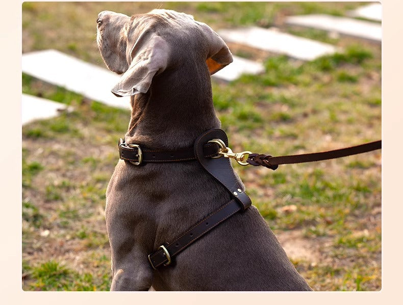 Genuine Leather Dog Harness Adjustable Heavy Duty No Pull Pet Walking Harness Leather Vest Harness for Medium Large Dogs
