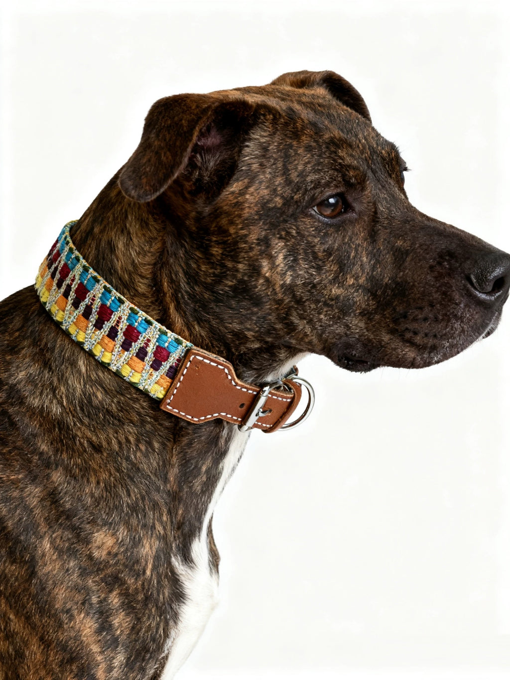 Bohemian Hand Woven Dog Collar 3.8CM Wide Genuine Leather dog collar Soft Cotton Webbing Heavy Duty Pet Walking Leash For Small Medium Large Dogs
