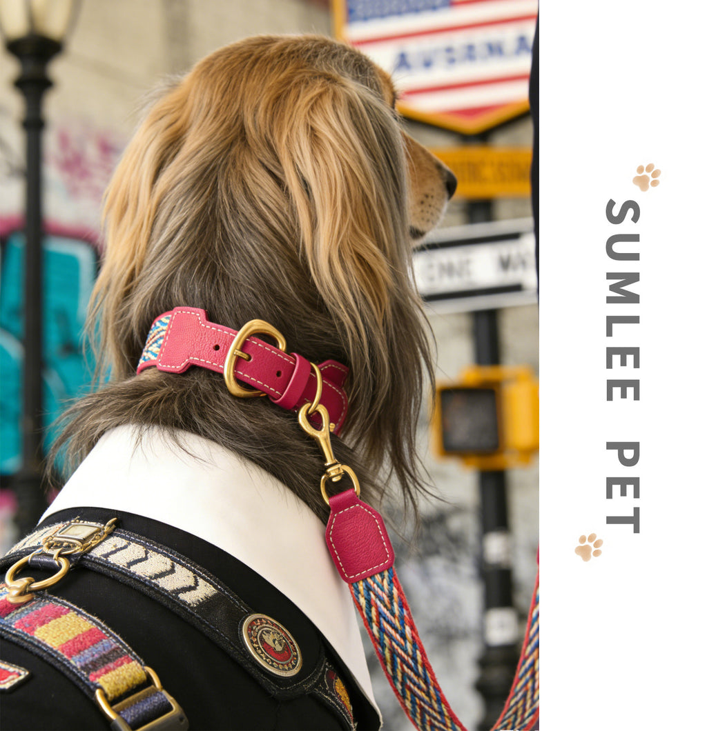 3.8cm Wide Genuine Leather webbing Dog Collar Bohemian Braided Woven Dog Collar and leash Adjustable Soft Leather Pet Collar