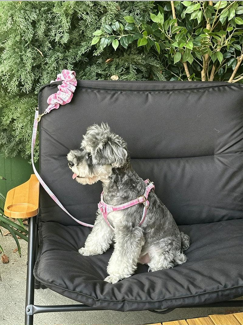 plaid pet harness and leash set with bow detail