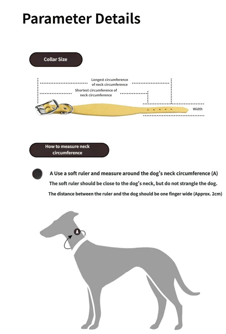 genuine leather Tapered dog collar Extra Wide Pet dog collar for long neck Greyhound Saluki Deerhound Lurcher Whippet Dachshund