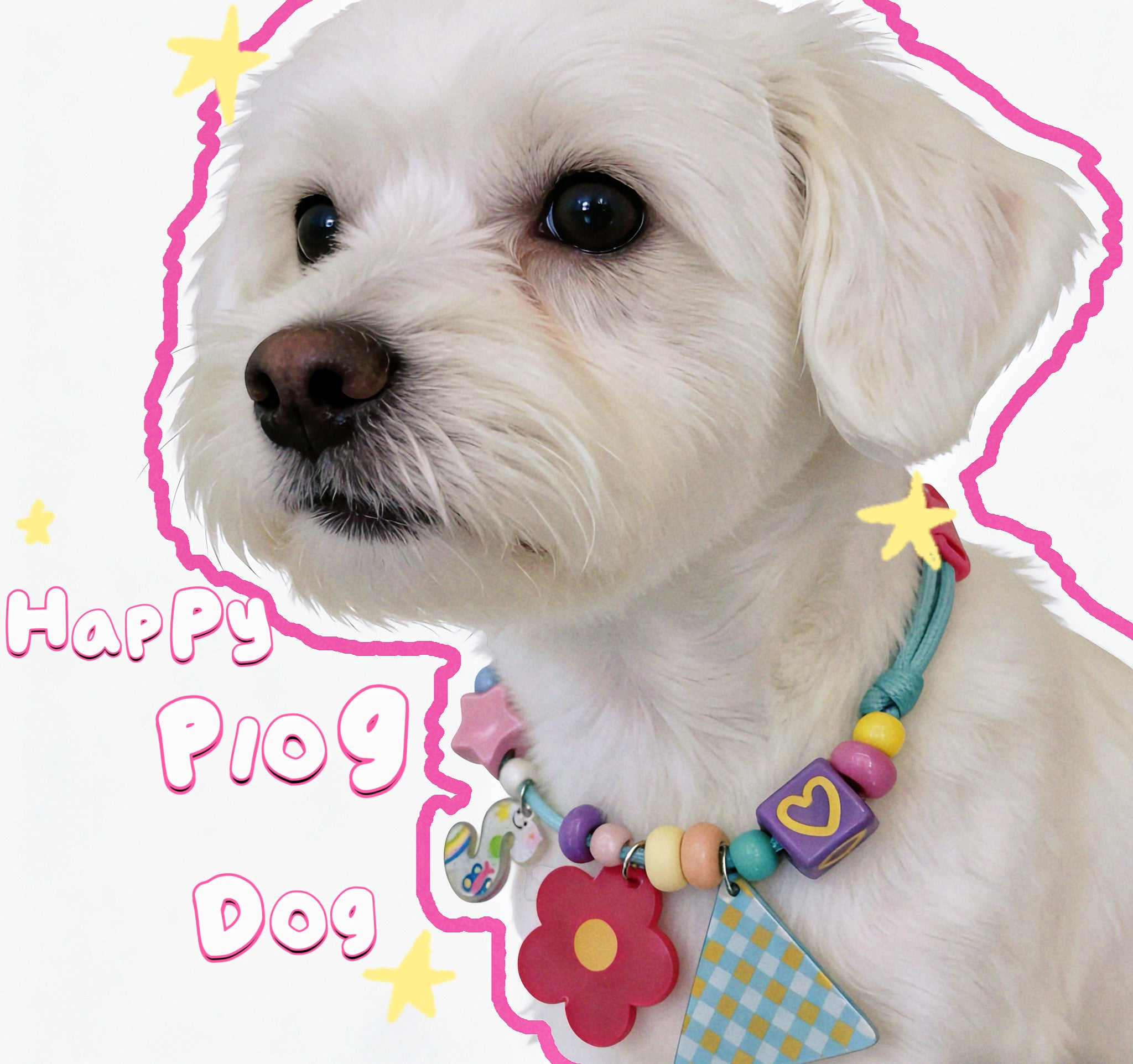 Custom Beaded name Pet Necklace Personalized letter and Daisy Flower Charm Adjustable Bead Collar for Small Dogs Cats