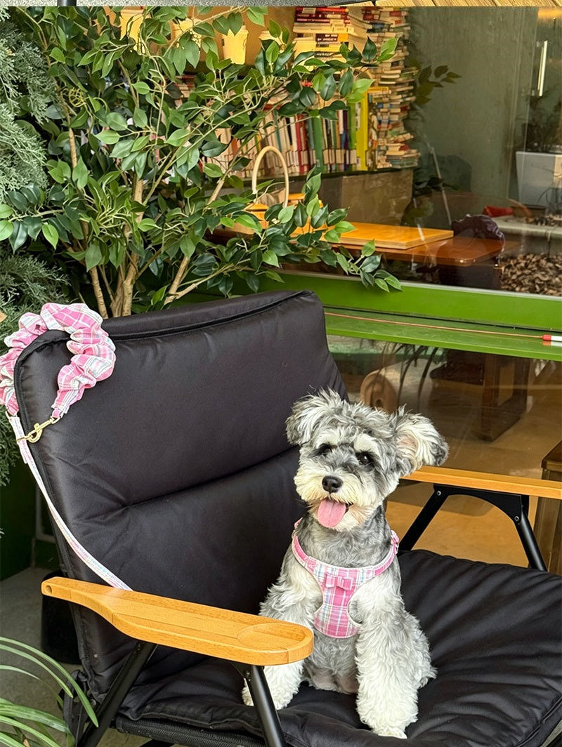 plaid pet harness and leash set with bow detail