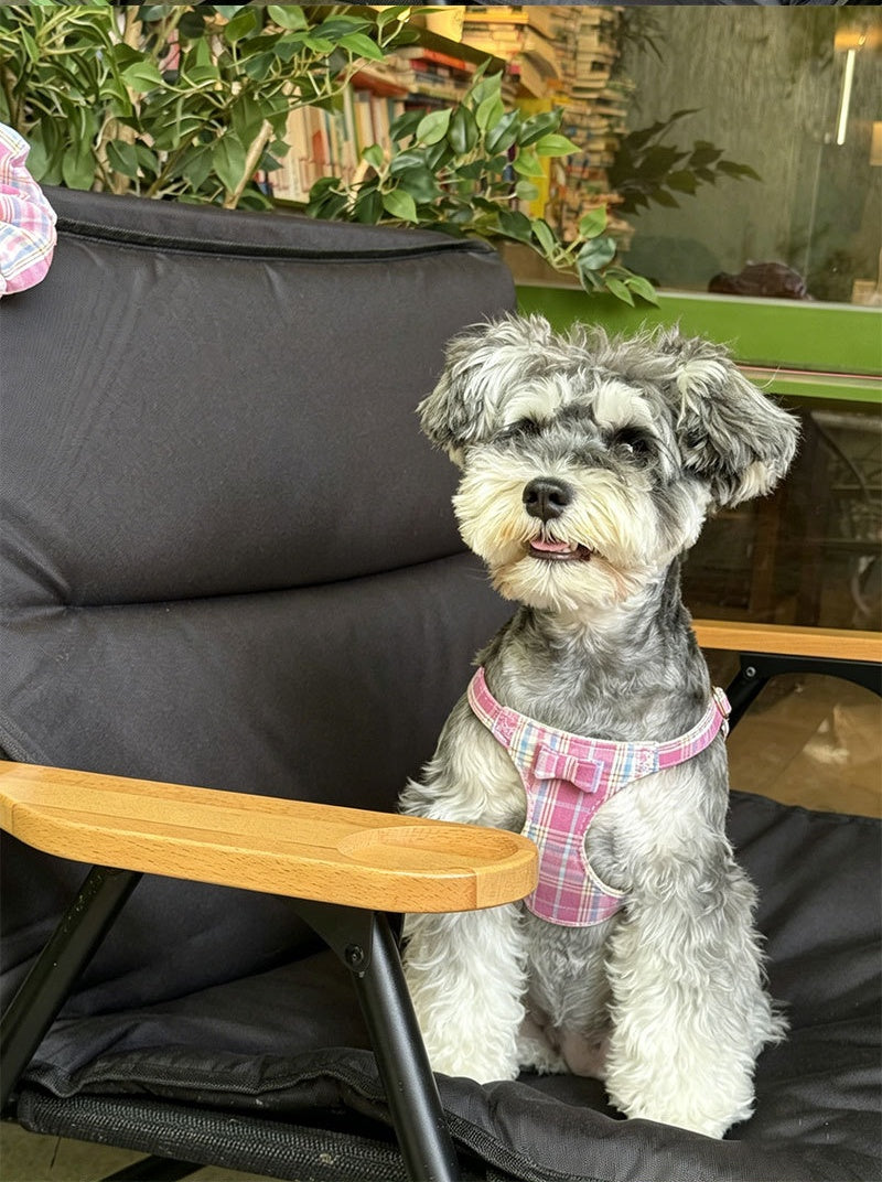 plaid pet harness and leash set with bow detail