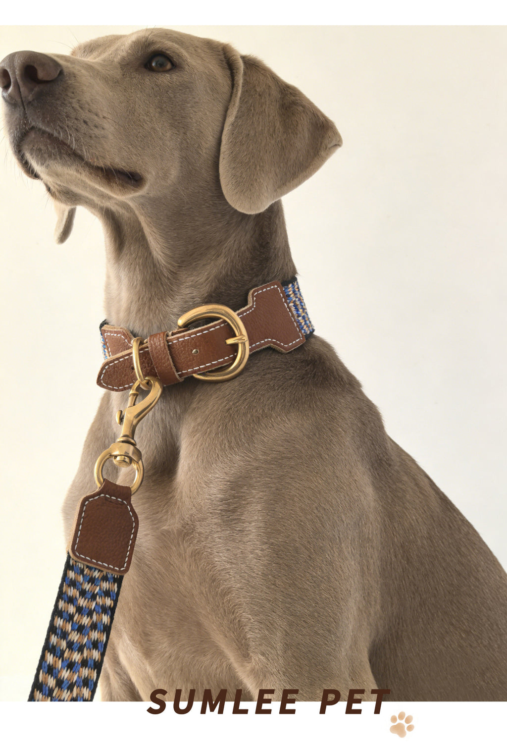 3.8cm Wide Genuine Leather webbing Dog Collar Bohemian Braided Woven Dog Collar and leash Adjustable Soft Leather Pet Collar