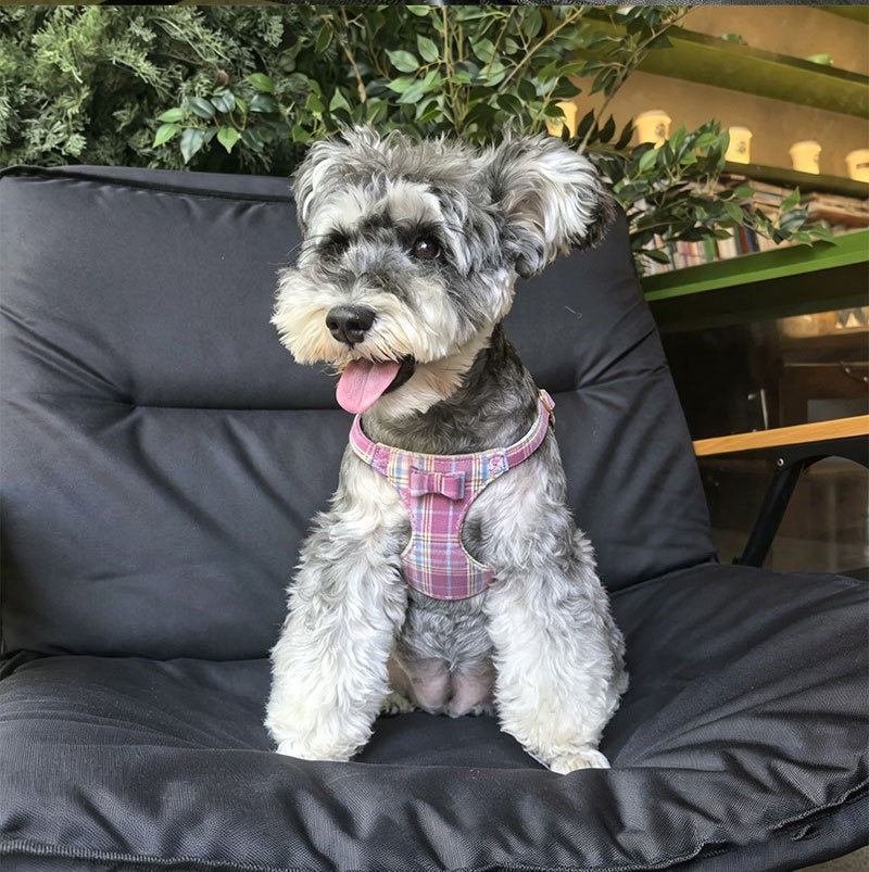 plaid pet harness and leash set with bow detail