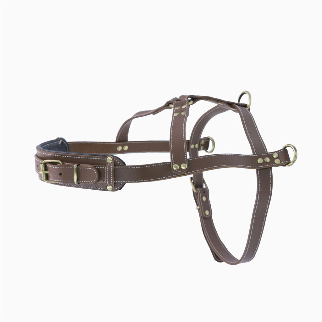 genuine leather harness for for Sled Dogs Adjustable Heavy Duty Pet Vest Harness Full-Grain Cowhide vest harness with 3 D-Rings
