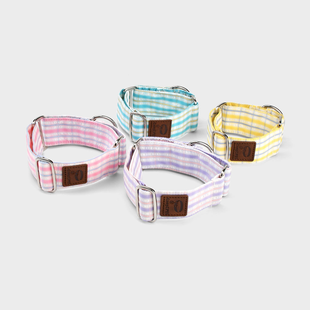 4cm wide Gingham Plaid Martingale Dog Collar No Pull Anti-Escape Training Collar for Whippet Italian Greyhound Sighthounds