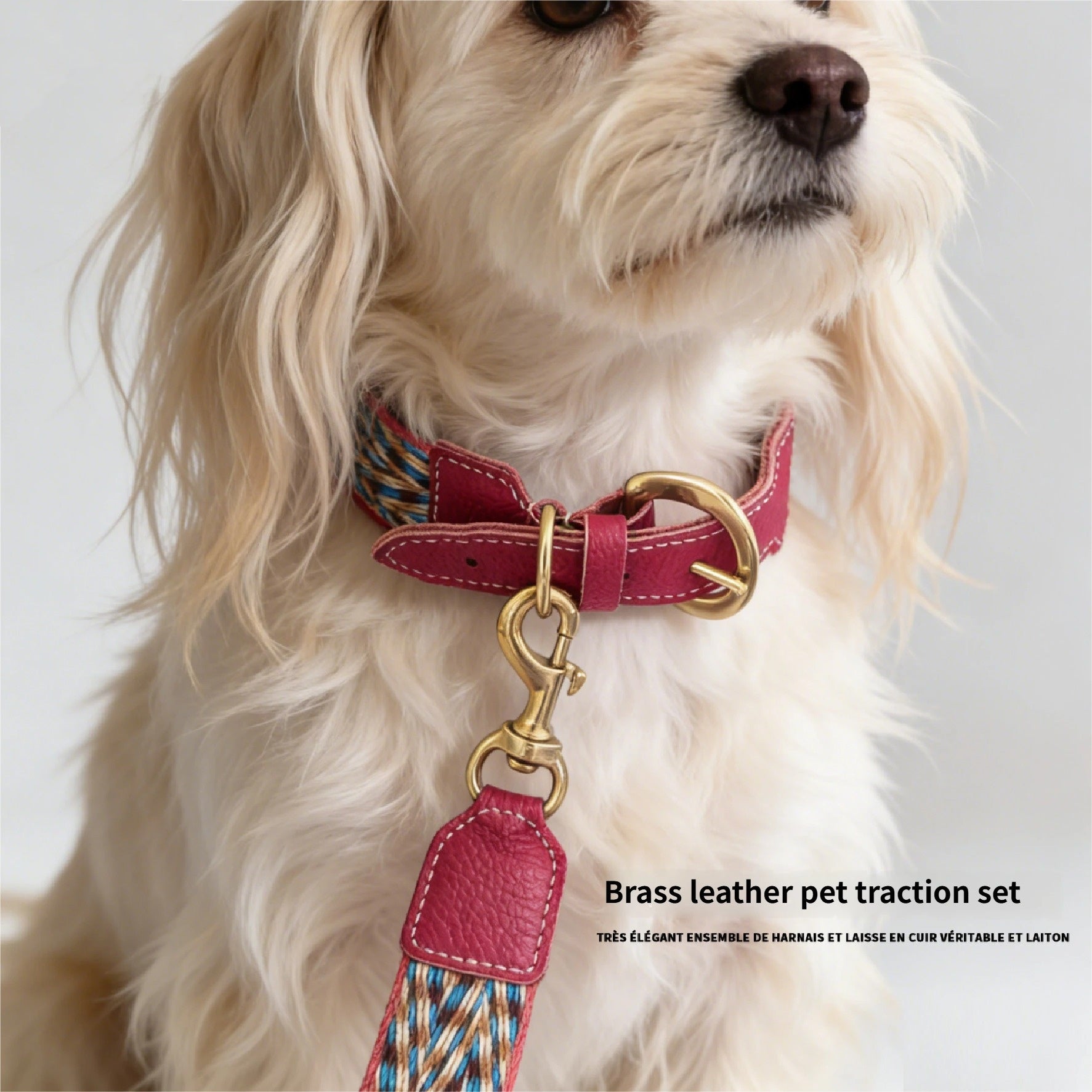 3.8cm Wide Genuine Leather webbing Dog Collar Bohemian Braided Woven Dog Collar and leash Adjustable Soft Leather Pet Collar