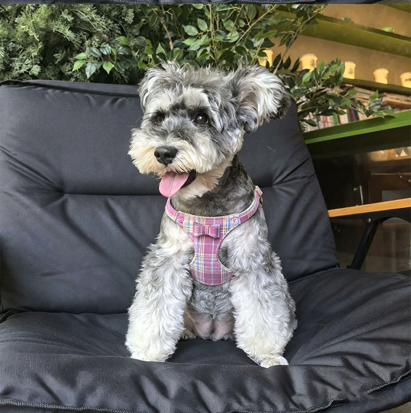 plaid pet harness and leash set with bow detail