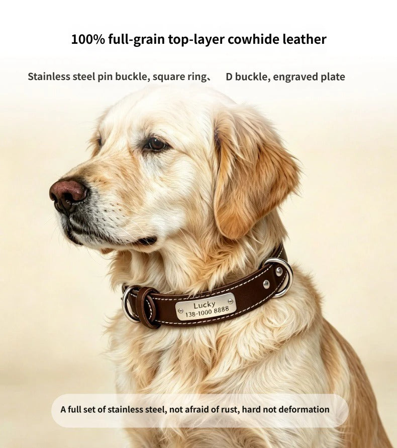 Genuine Leather Dog Collar with Custom Stainless Steel Name Plate Adjustable Heavy Duty Anti‑Pull Pet Collar for Daily Walking