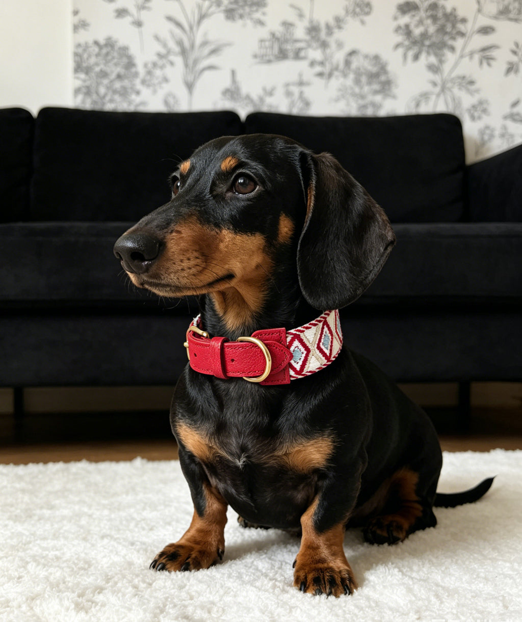 genuine Leather with 3.8cm wide webbing Dog Collar and Leash Geometric Woven Adjustable Pet Collar dog Walking Collar Leash