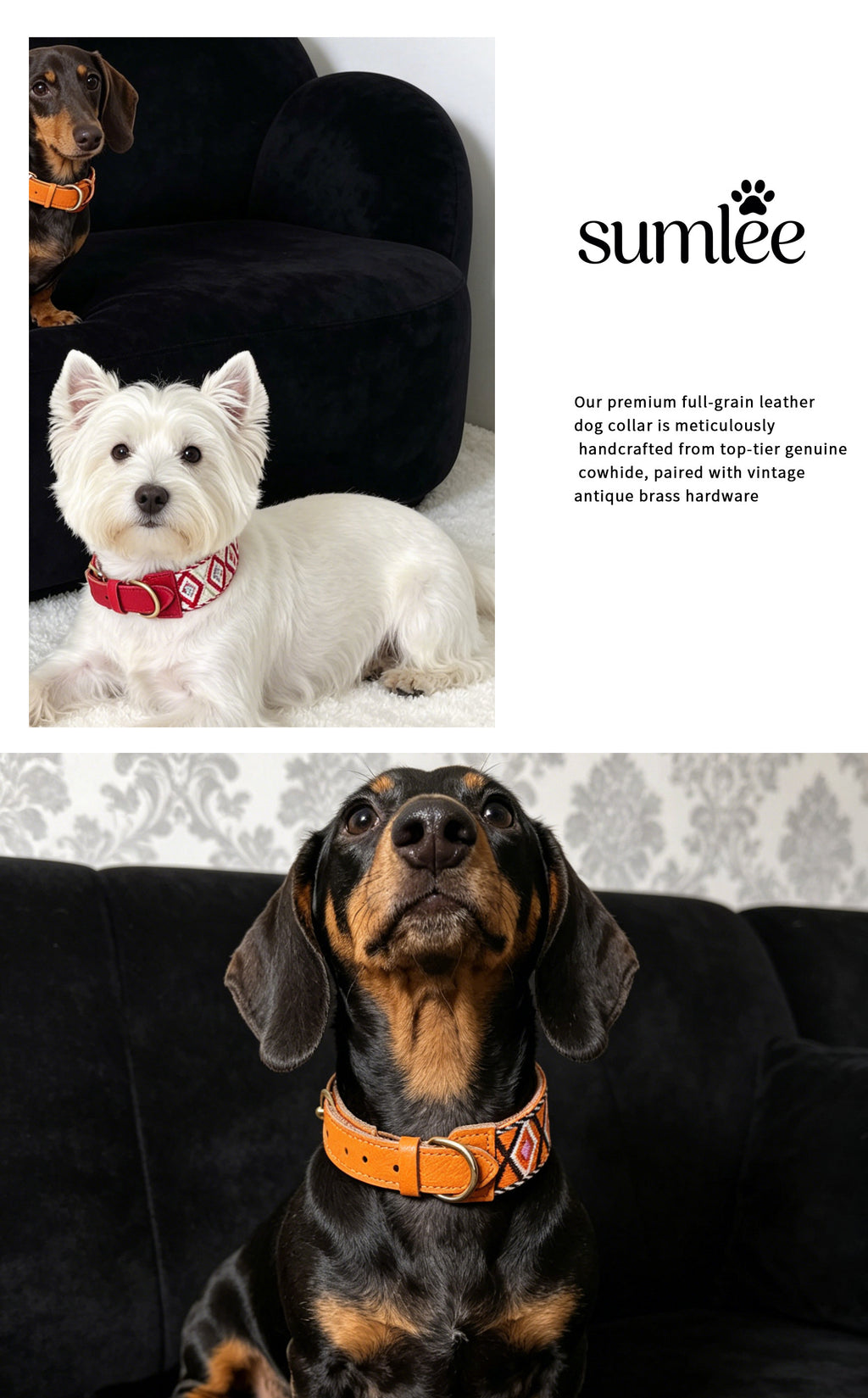 genuine Leather with 3.8cm wide webbing Dog Collar and Leash Geometric Woven Adjustable Pet Collar dog Walking Collar Leash