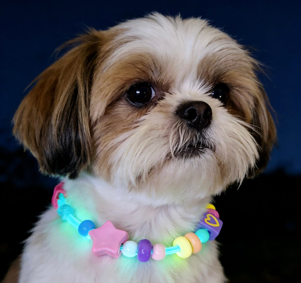 Custom Beaded name Pet Necklace Personalized letter and Daisy Flower Charm Adjustable Bead Collar for Small Dogs Cats